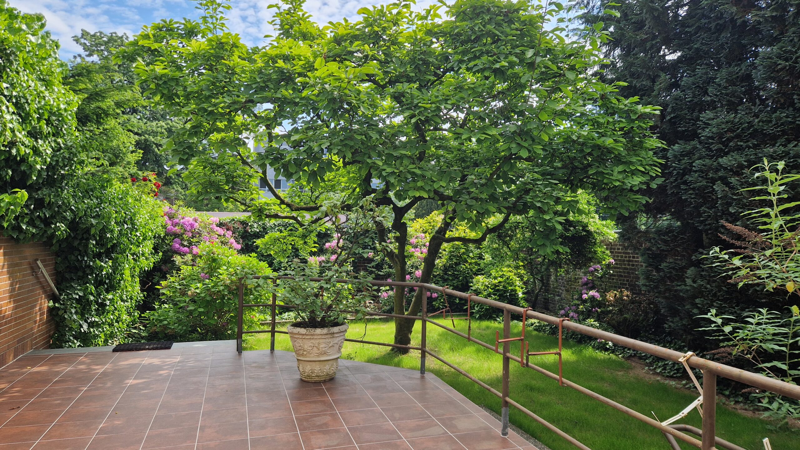 Garten im Sommer